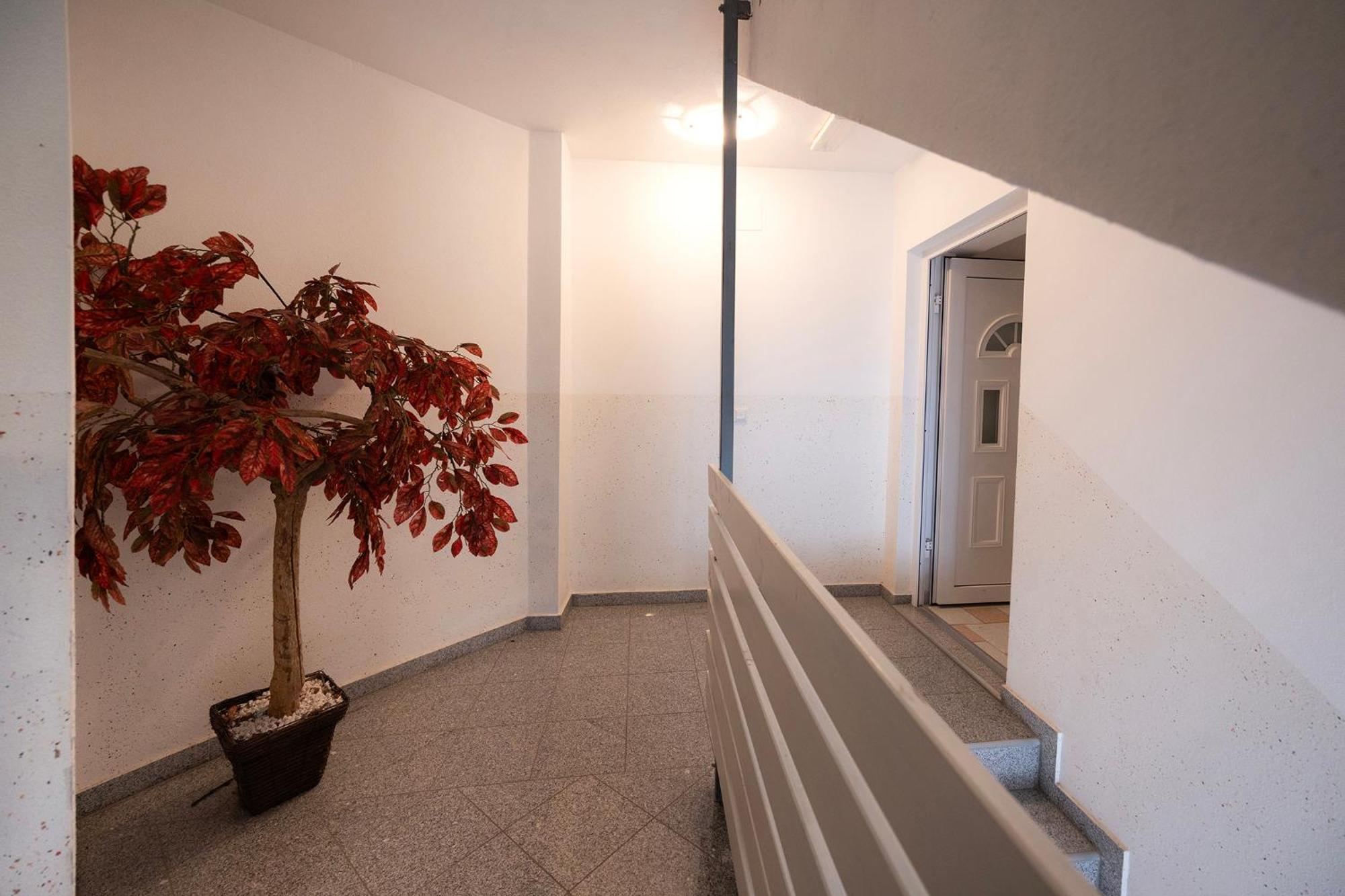 Grom Ribno Apartments Bled Exterior photo